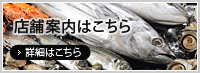 店舗案内はこちら